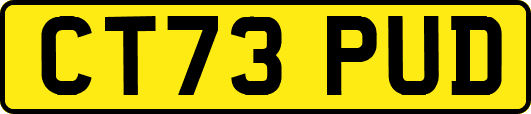 CT73PUD