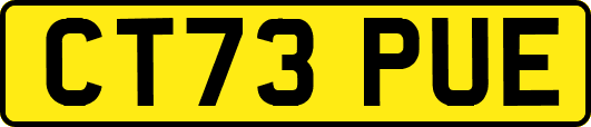 CT73PUE