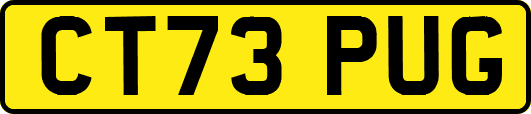 CT73PUG