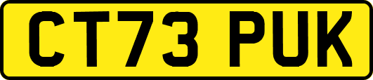 CT73PUK