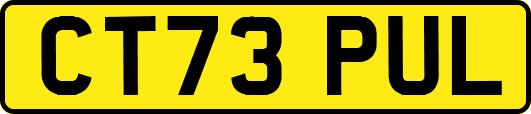 CT73PUL