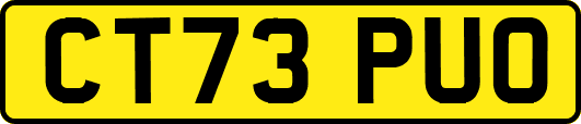 CT73PUO