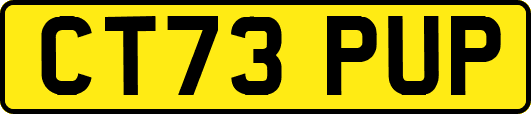 CT73PUP