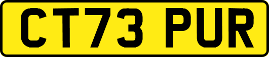 CT73PUR