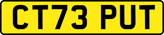 CT73PUT