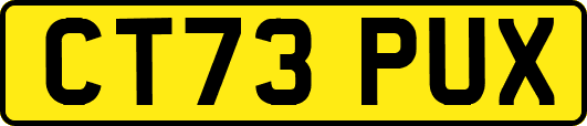 CT73PUX