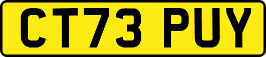 CT73PUY