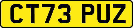 CT73PUZ
