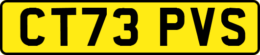 CT73PVS