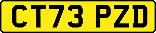 CT73PZD