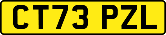 CT73PZL