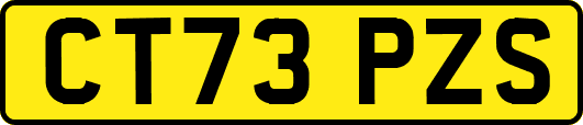 CT73PZS