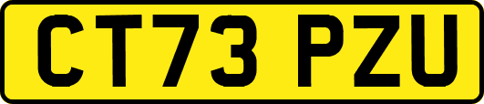CT73PZU