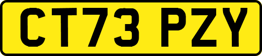CT73PZY