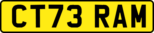 CT73RAM