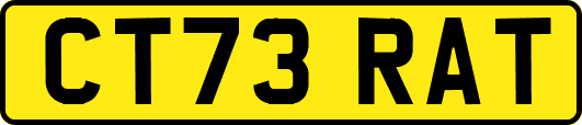 CT73RAT