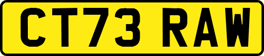 CT73RAW