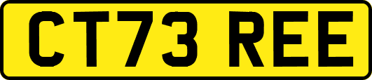 CT73REE