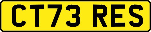 CT73RES