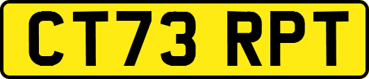 CT73RPT