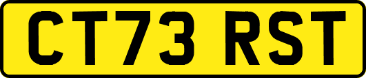 CT73RST