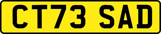 CT73SAD
