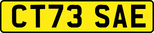 CT73SAE