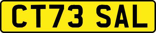 CT73SAL