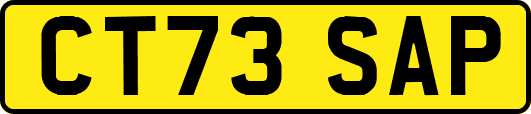 CT73SAP