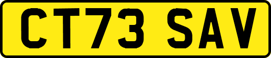 CT73SAV
