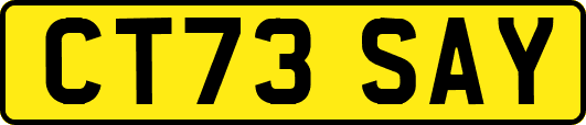 CT73SAY