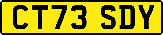 CT73SDY