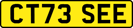 CT73SEE