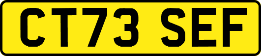 CT73SEF