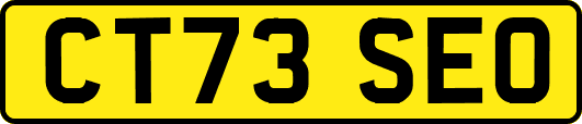 CT73SEO