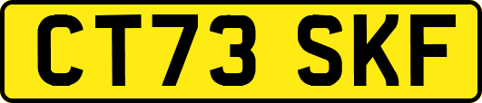 CT73SKF