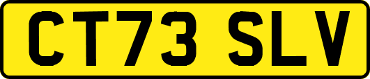 CT73SLV