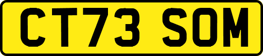 CT73SOM