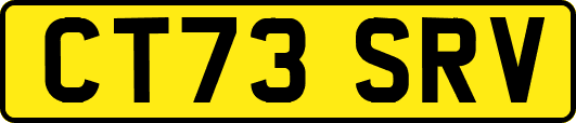 CT73SRV