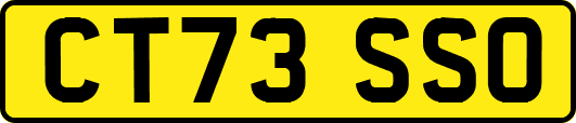 CT73SSO