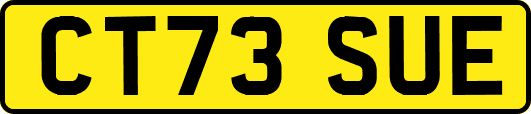 CT73SUE