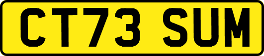 CT73SUM