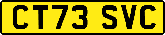 CT73SVC