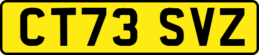 CT73SVZ