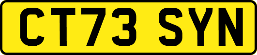 CT73SYN