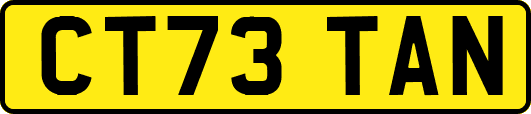 CT73TAN