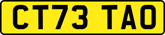 CT73TAO