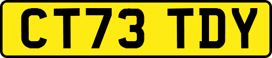 CT73TDY