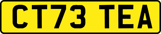 CT73TEA