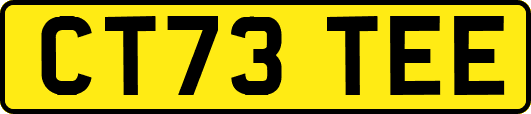 CT73TEE